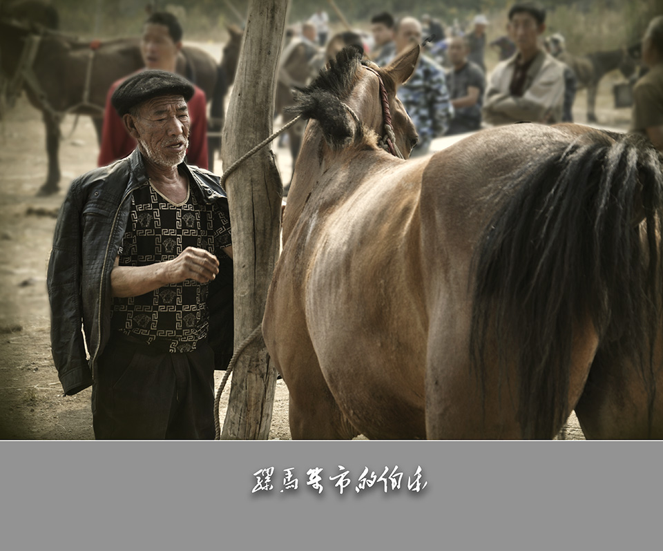 骡马集市的伯乐