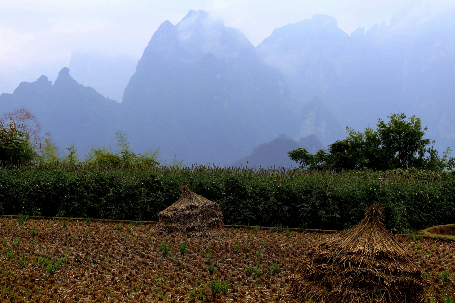 亲近崇山之秋到崇山