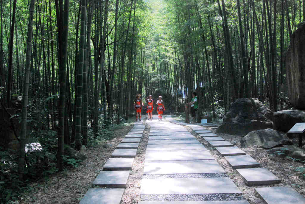竹林深深
