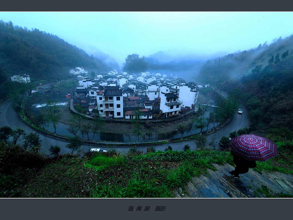 << 菊径晨雨 >>