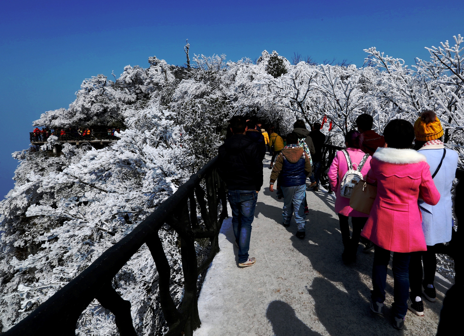 赏雪游人