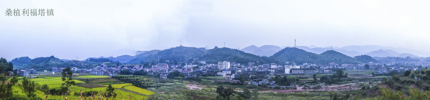 桑植利福塔