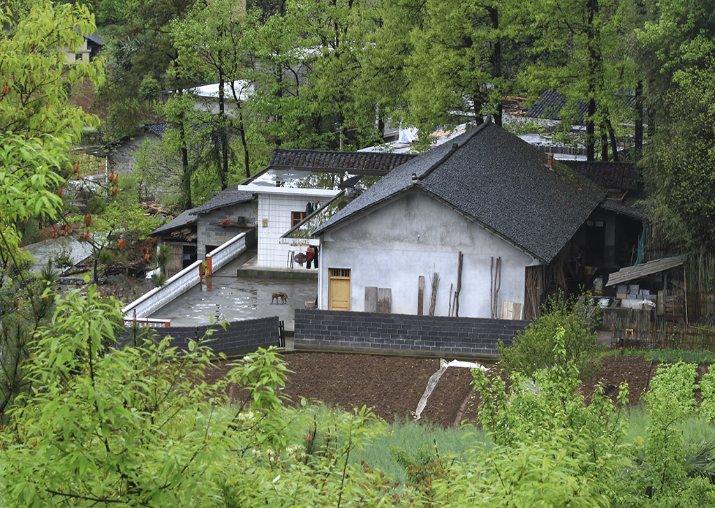 农家（官地坪乡）