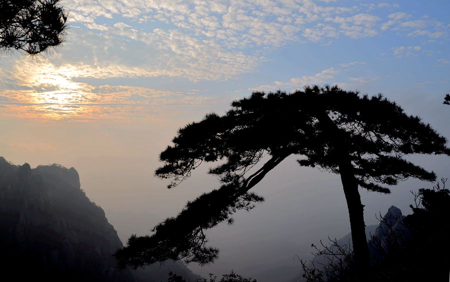 夕照迎客松