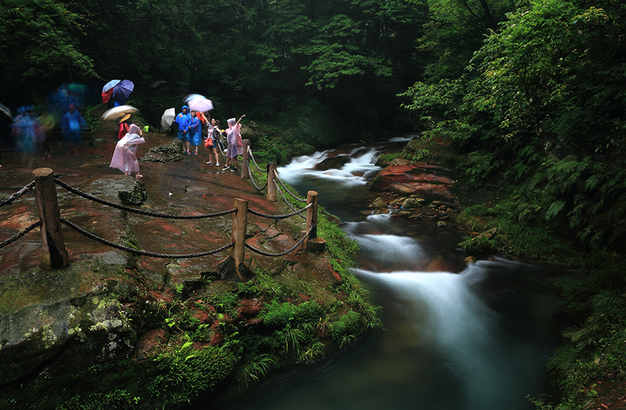 雨中金鞭溪