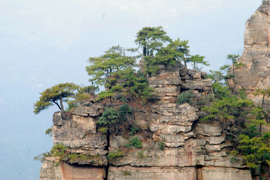 鬼虎神功天子山