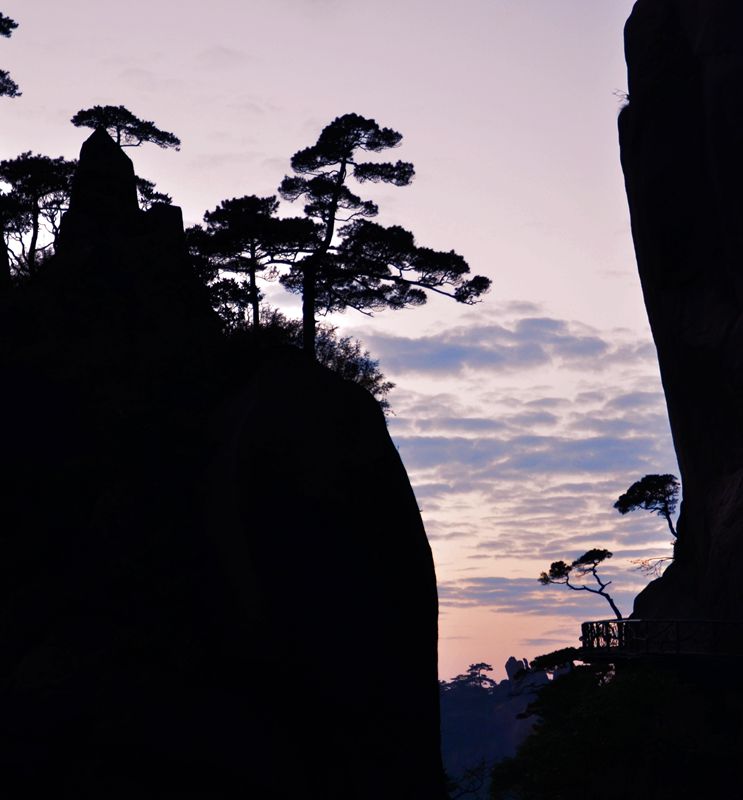 峡谷松涛映霞光