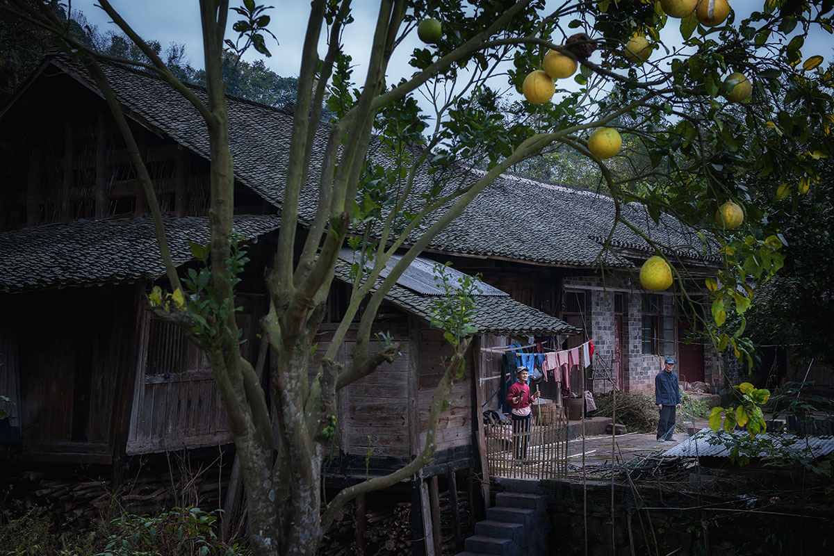 乡村即景