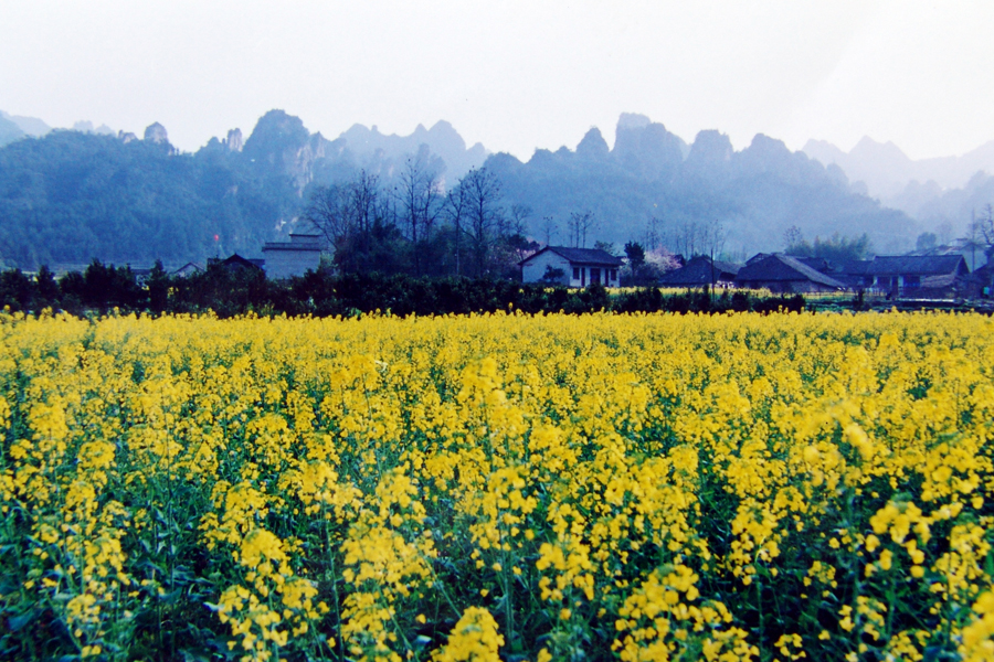武陵源百丈峡口2007年的村庄