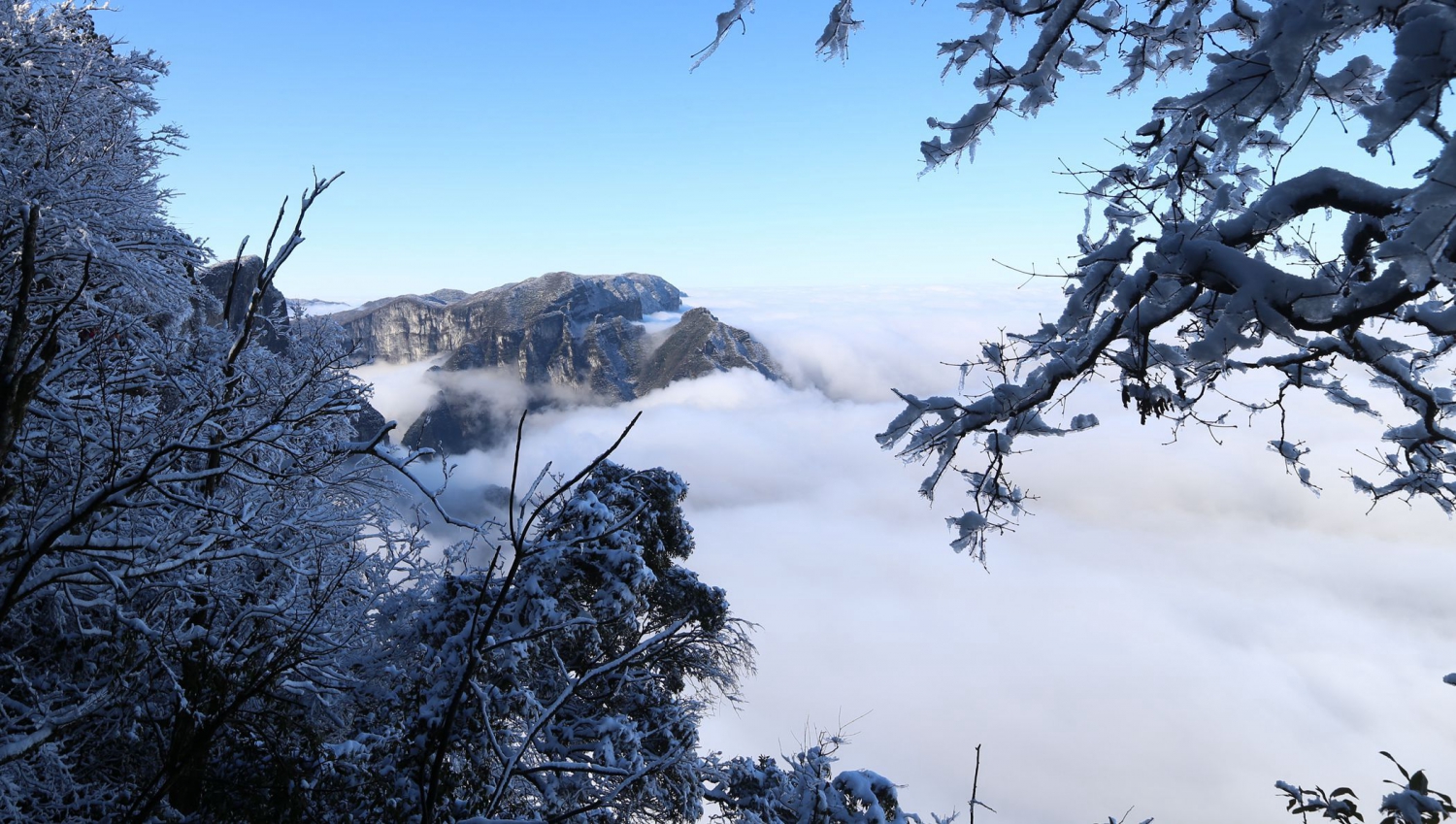 天门雪
