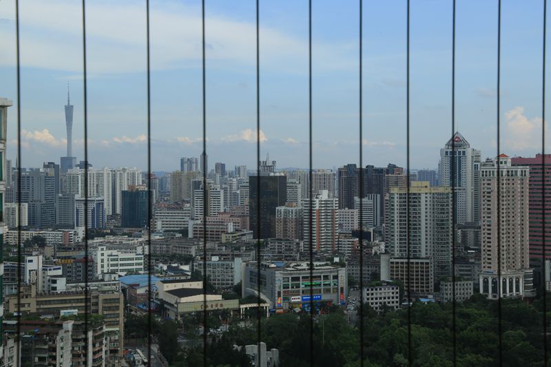 我家阳台风光