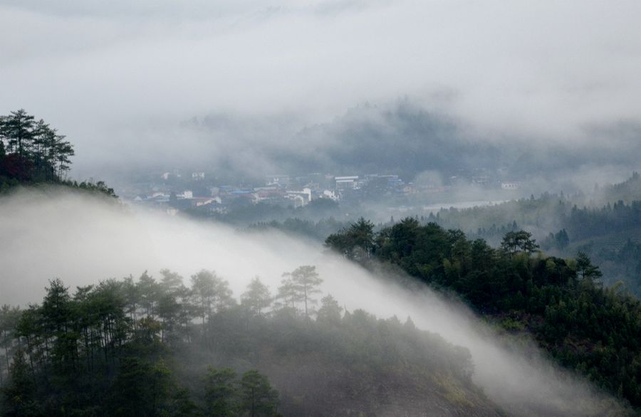 雾海松山藏我家
