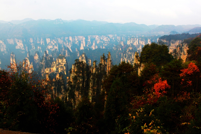 秋到天子山
