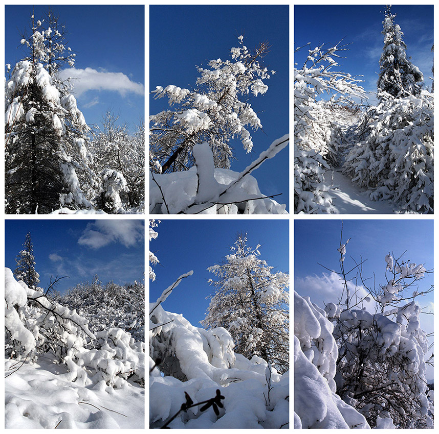 雪