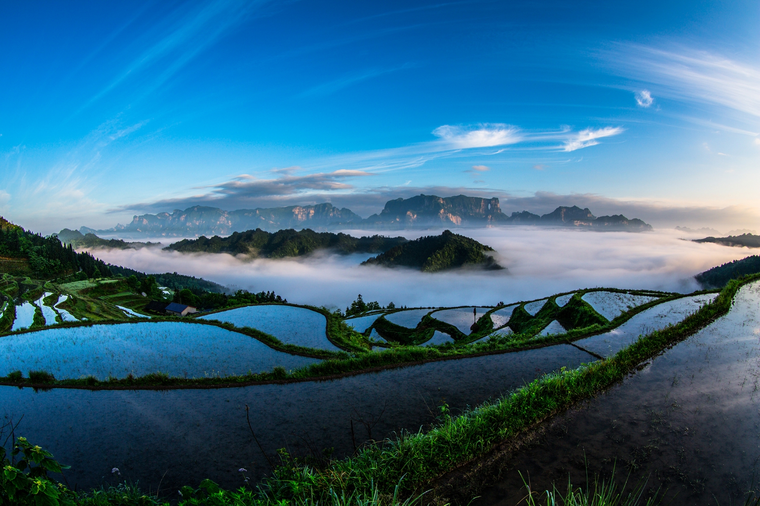 美丽家园