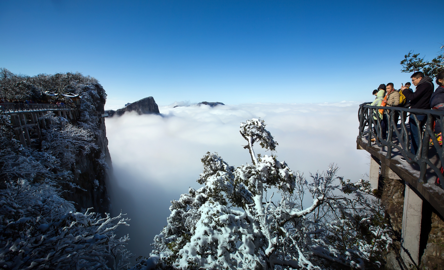 《云上的风景》