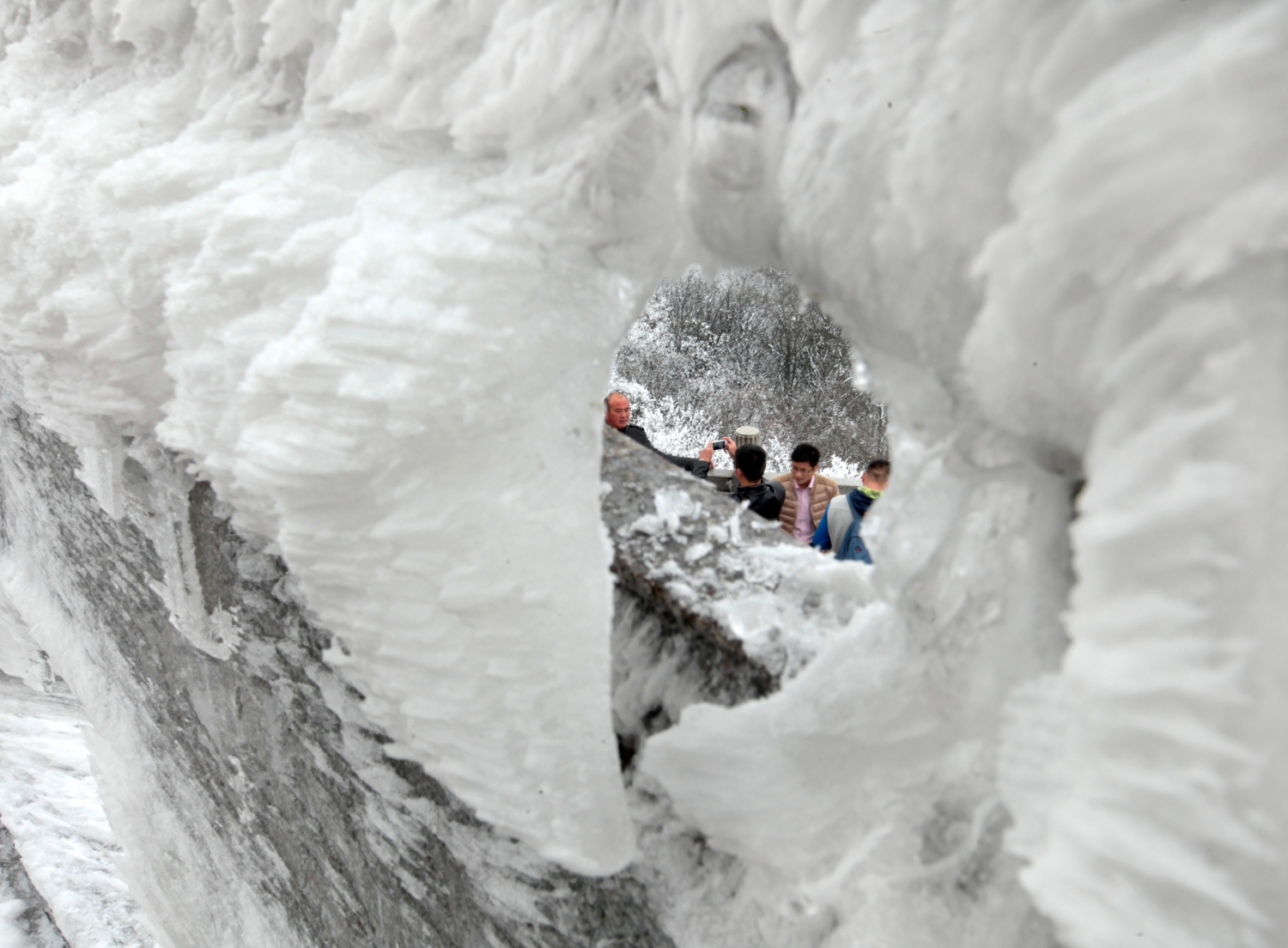 雪冷血热