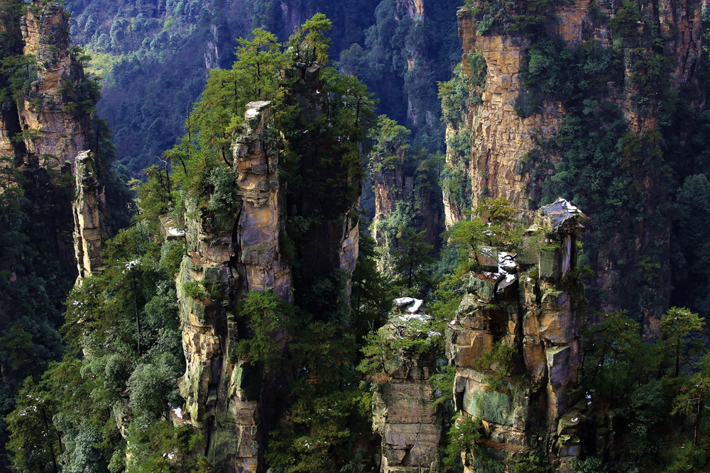 天子山·天然盆景