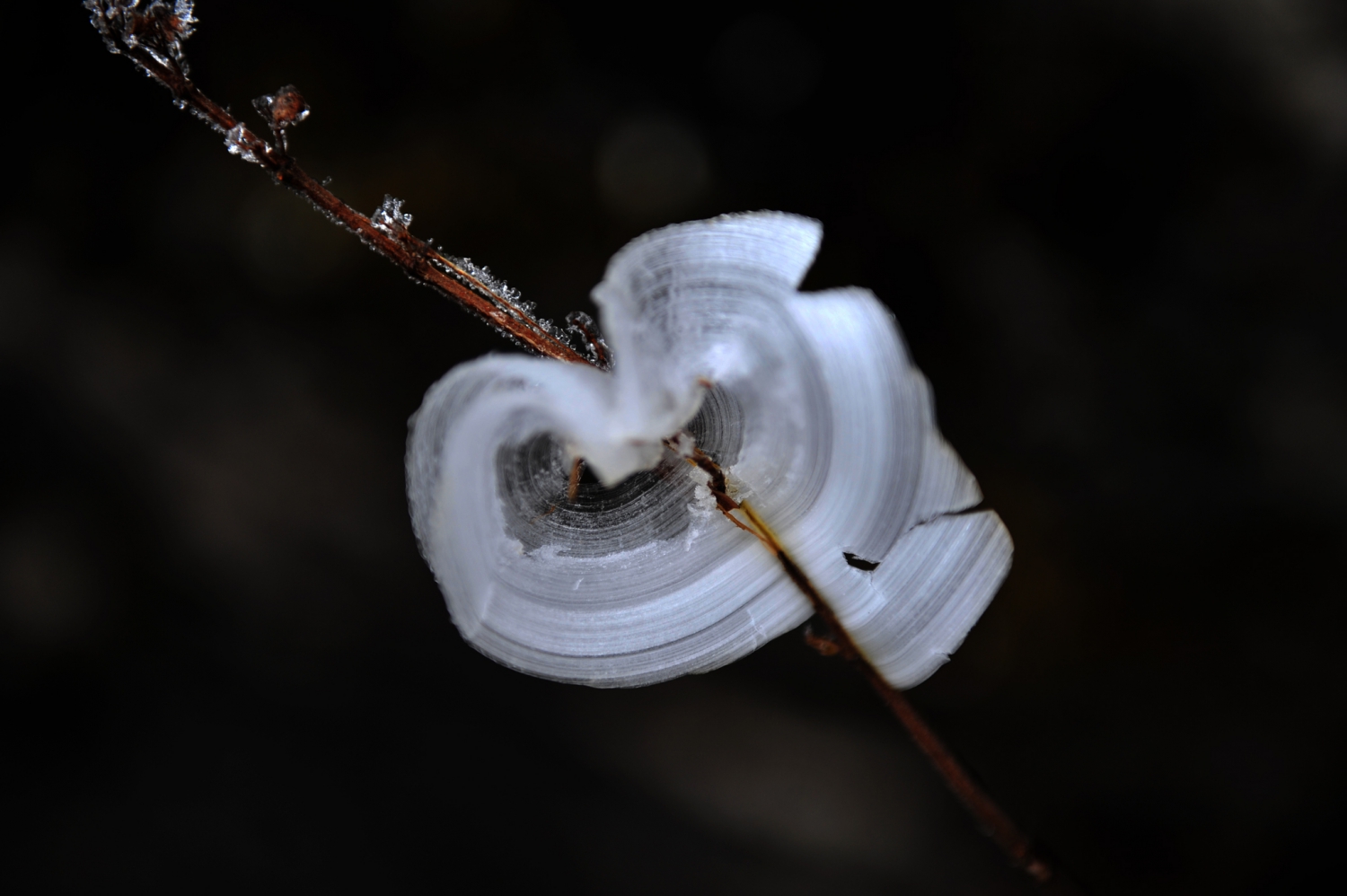 天门山冰花
