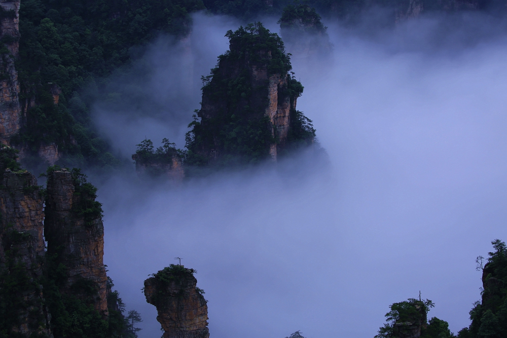 天子山·海岛