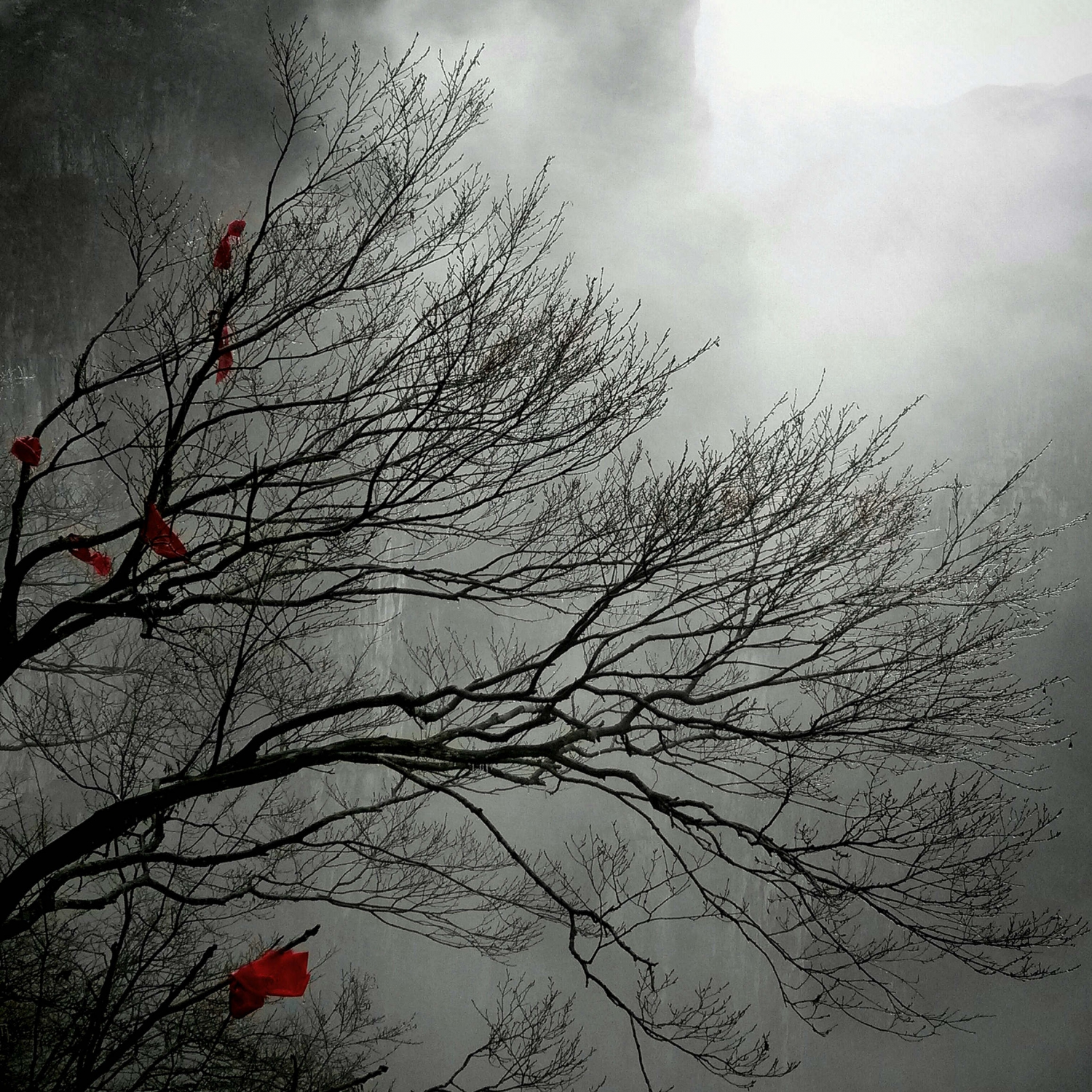 早春