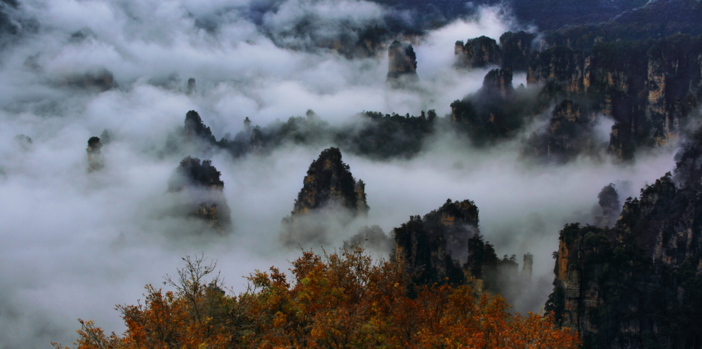 万马归巢