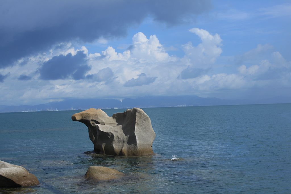 海狮