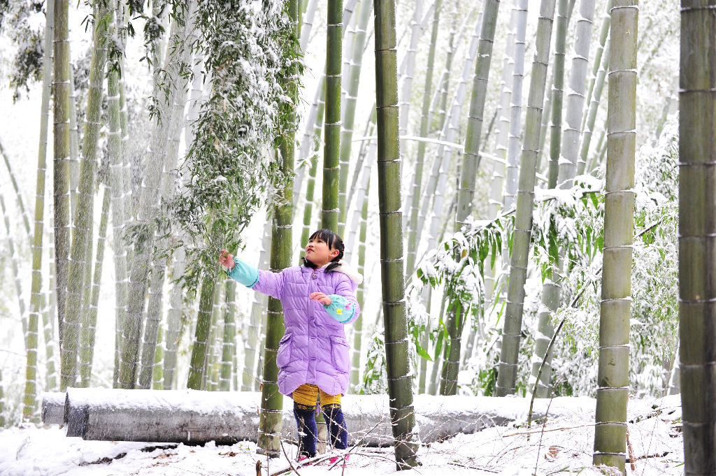 雪之精灵