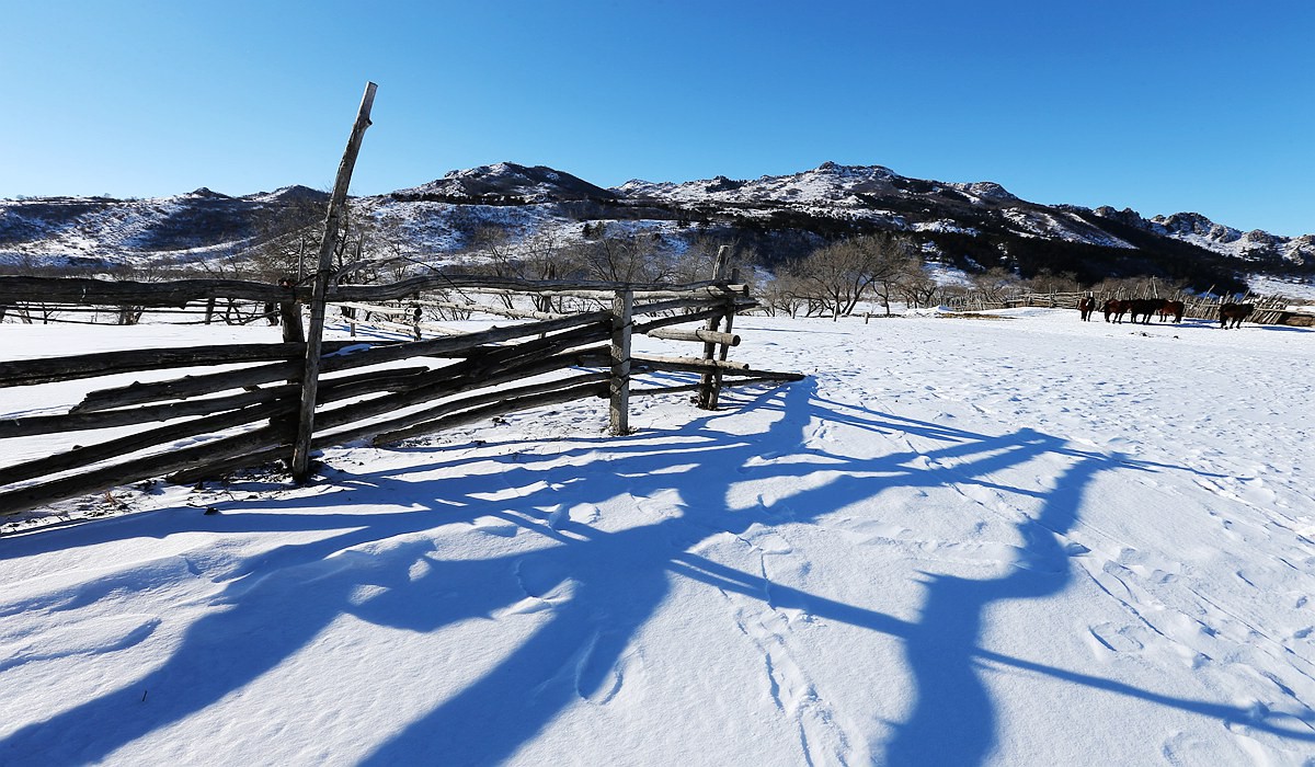 雪域风情----坝上