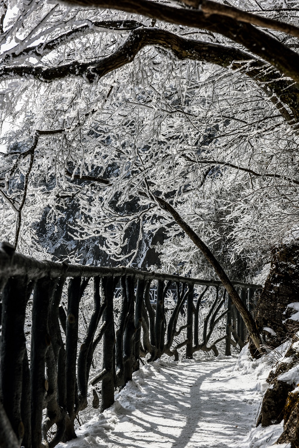 雪径幽幽