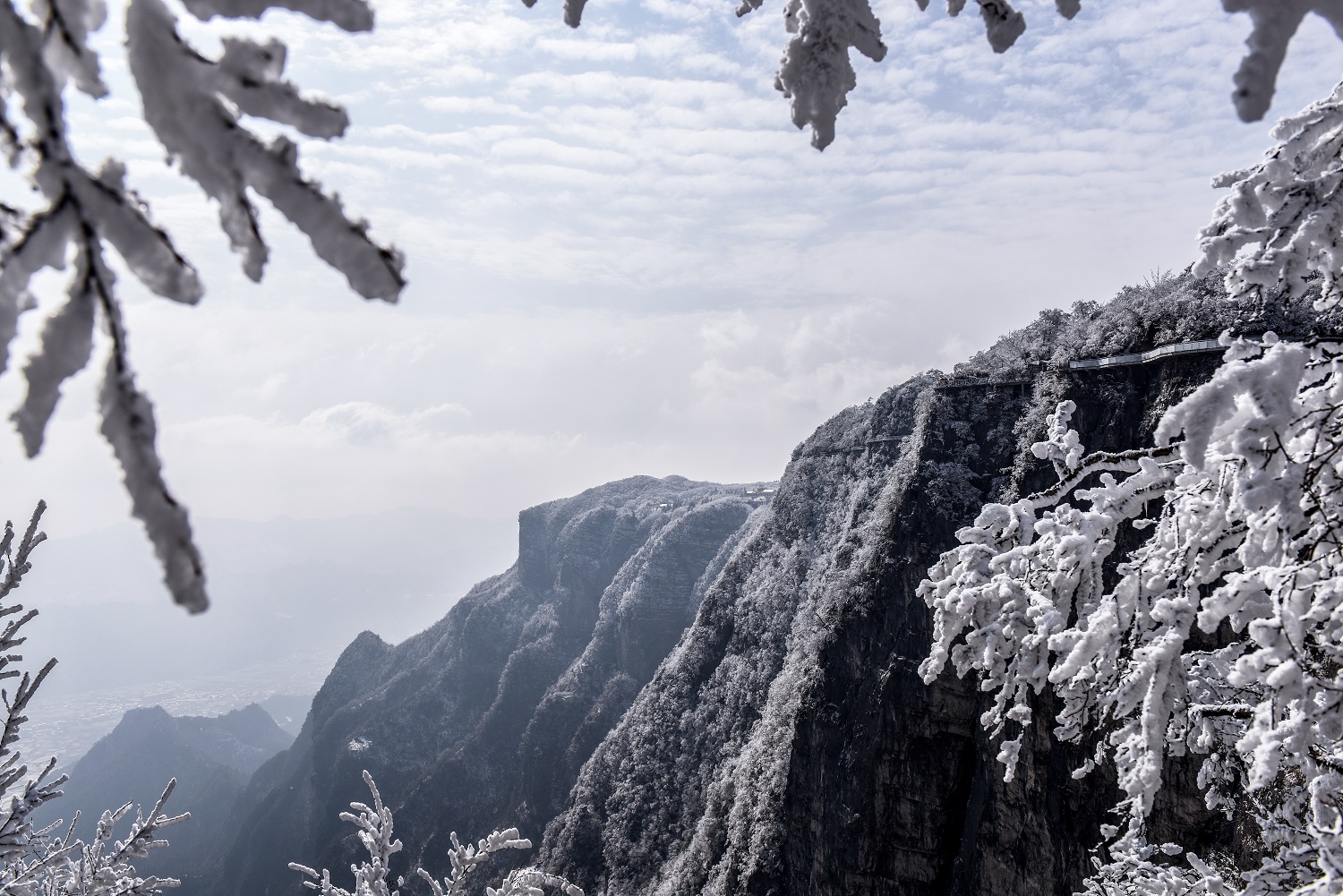 雪裹玉屏山