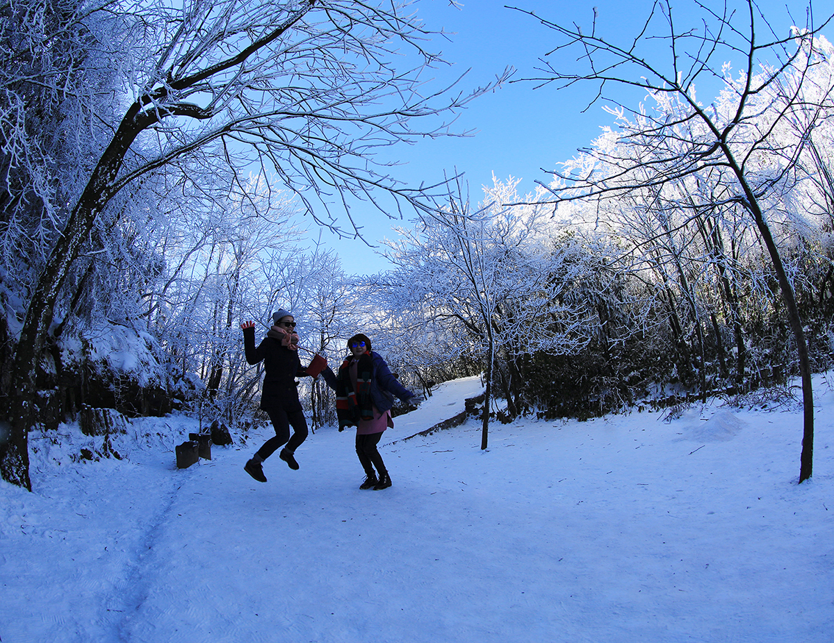 欢乐在雪地