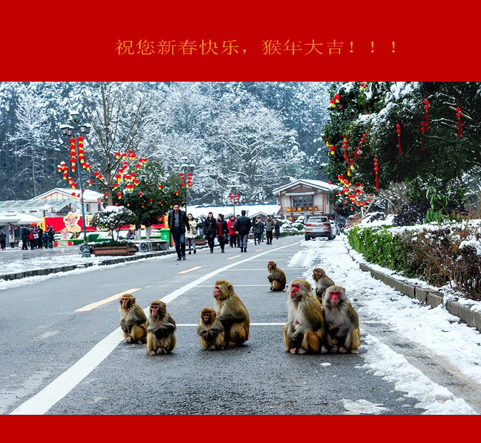 拜小年