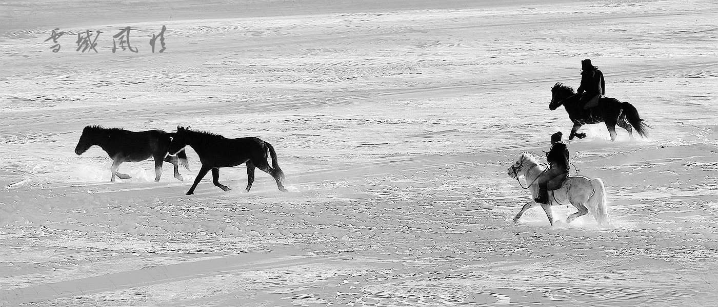 雪域风情----坝上