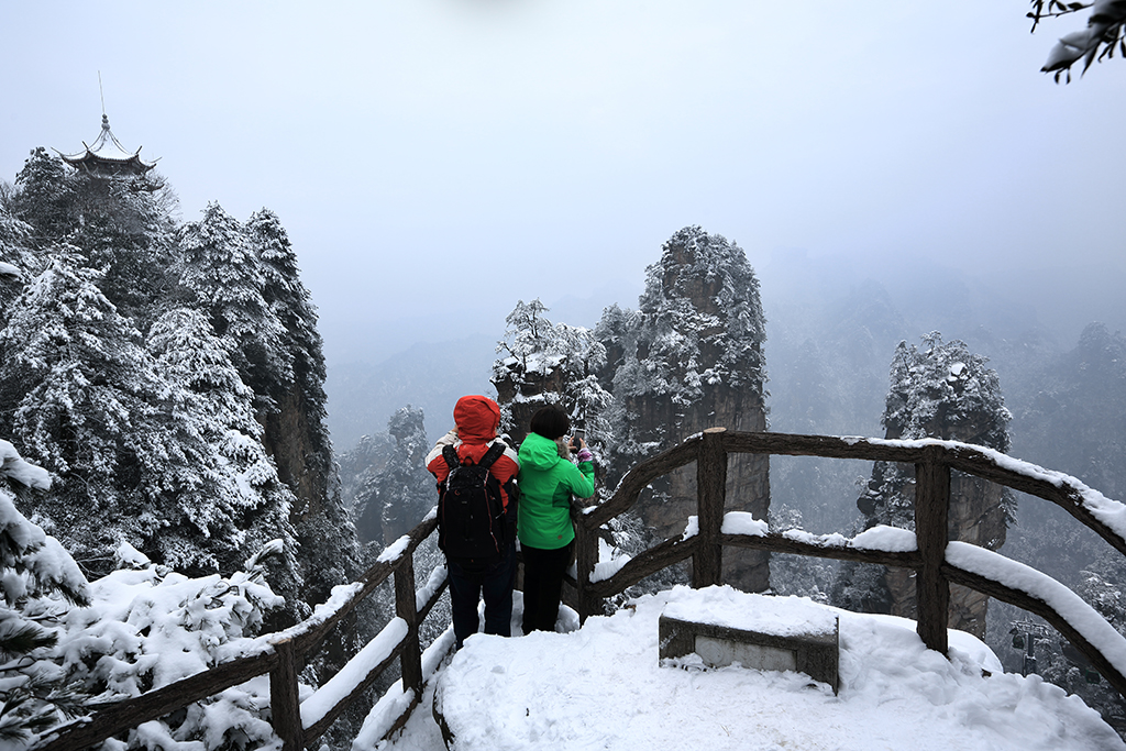雪中情