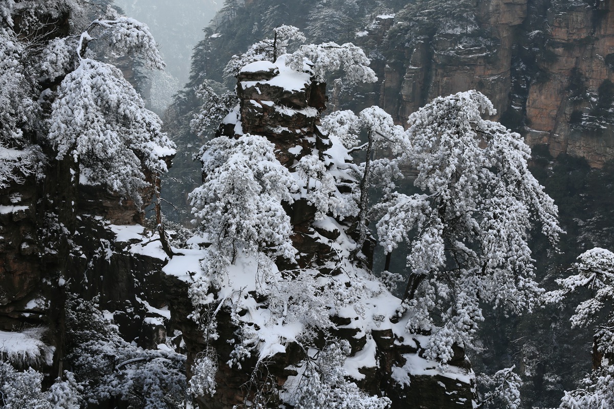 黄石寨。雪