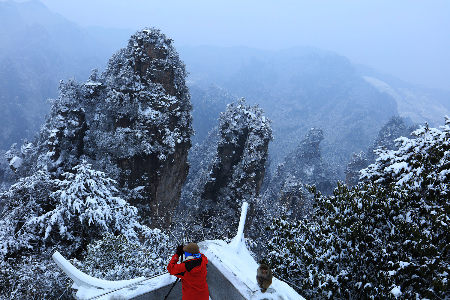 雪地宁望