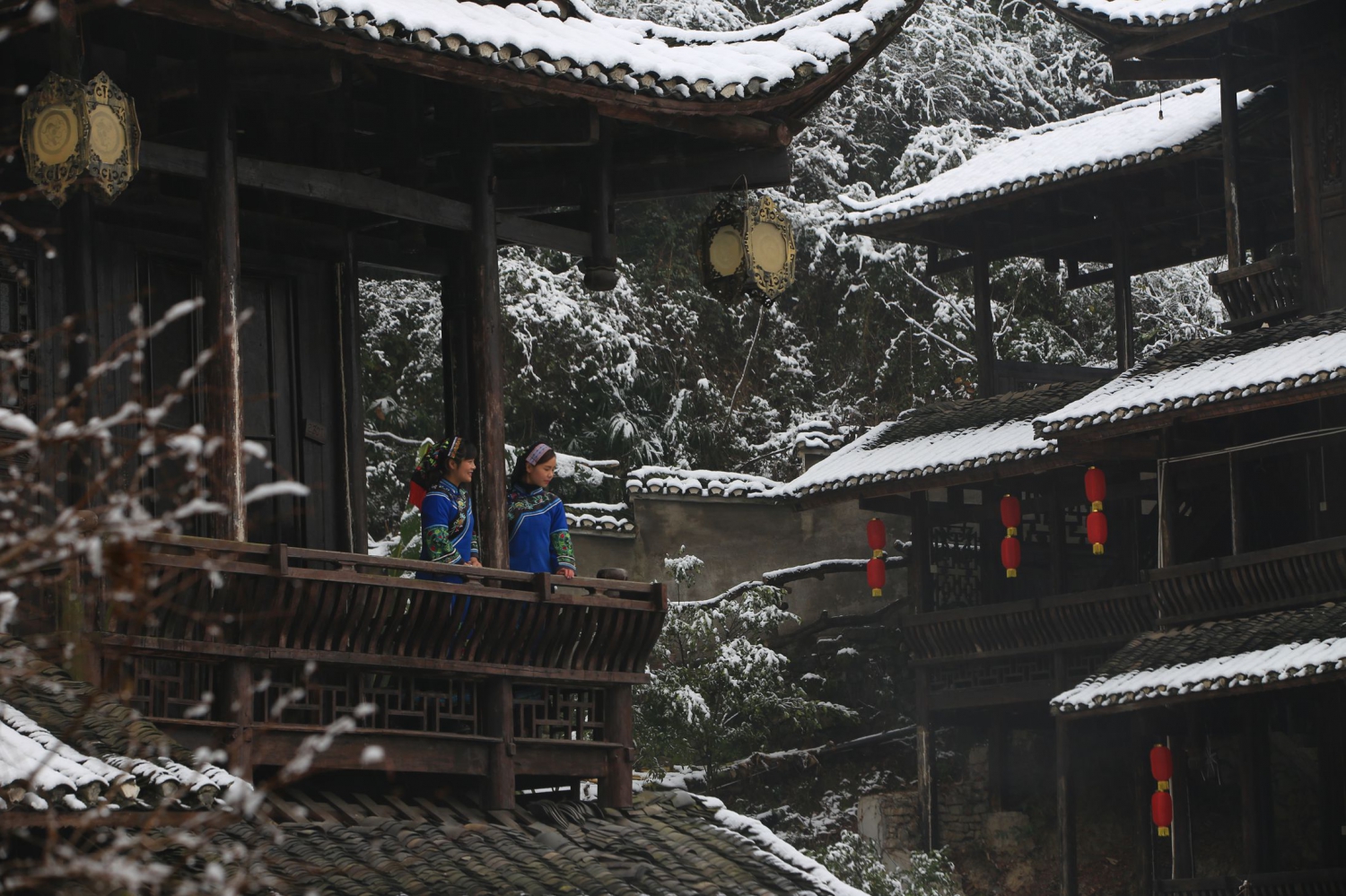 观雪