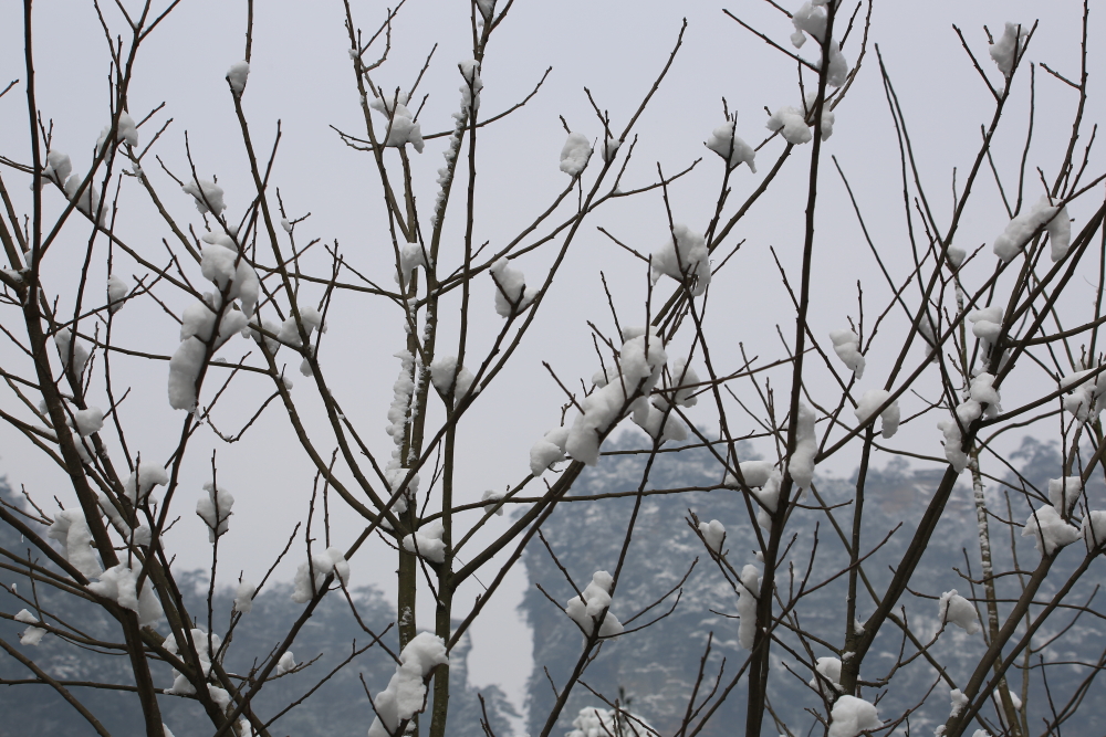 雪融化