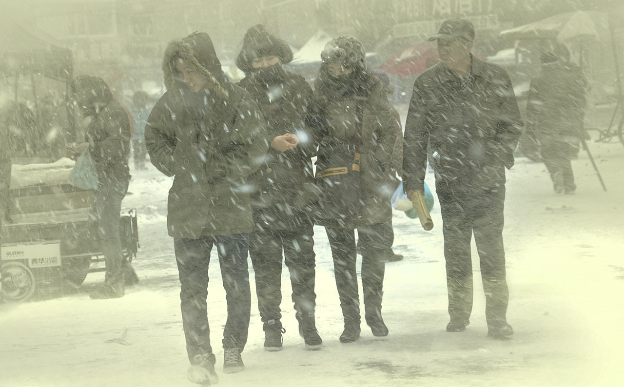 雪中匆匆行
