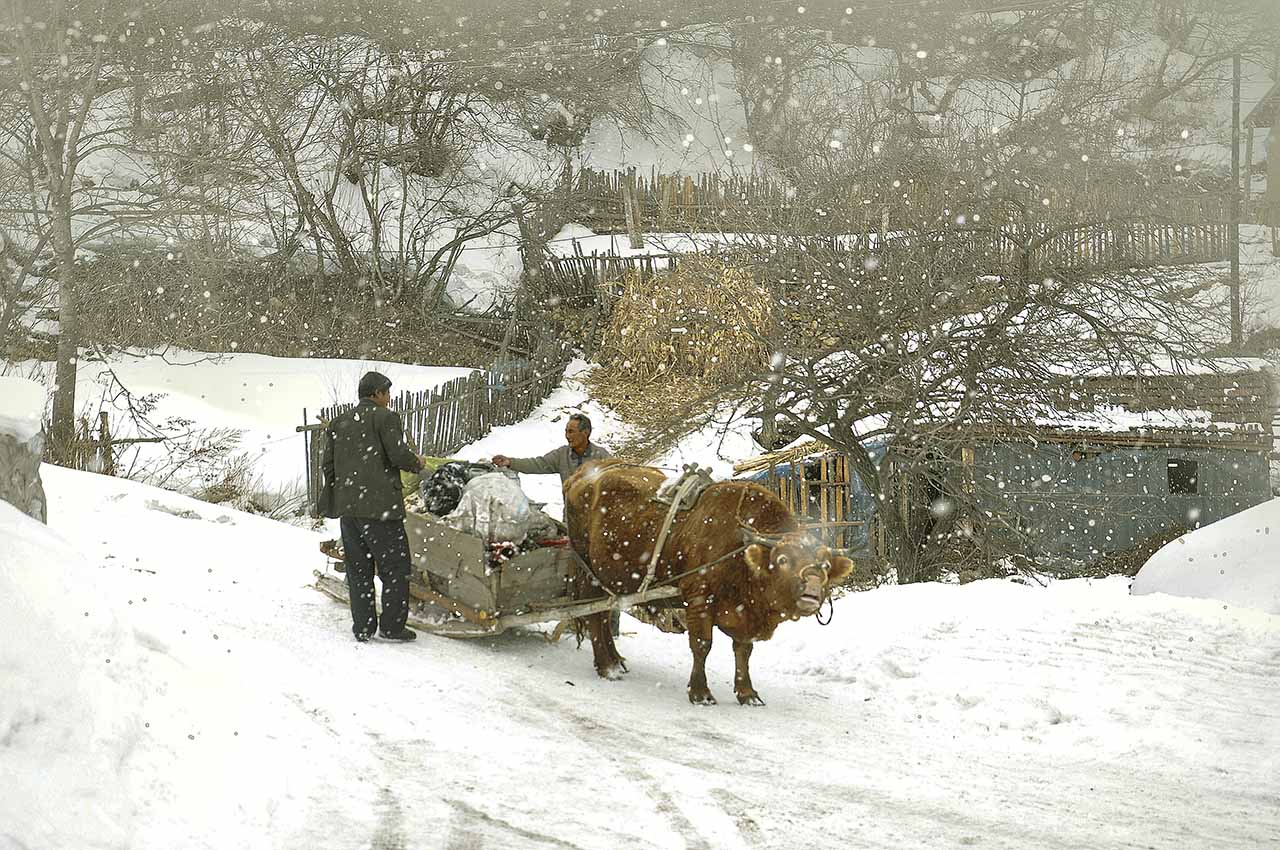 雪村正月