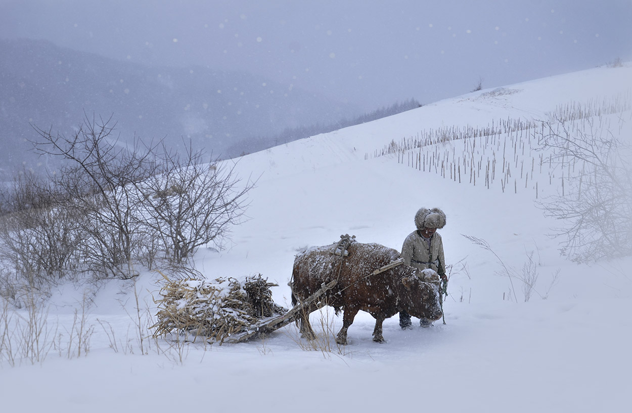 风雪途中