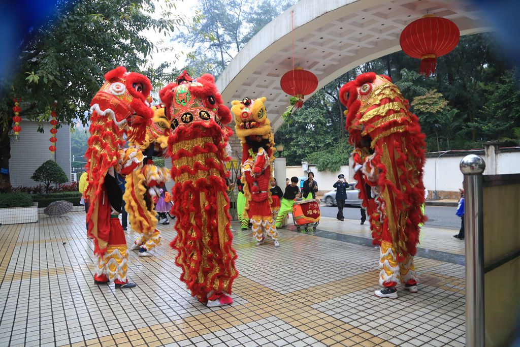 接狮
