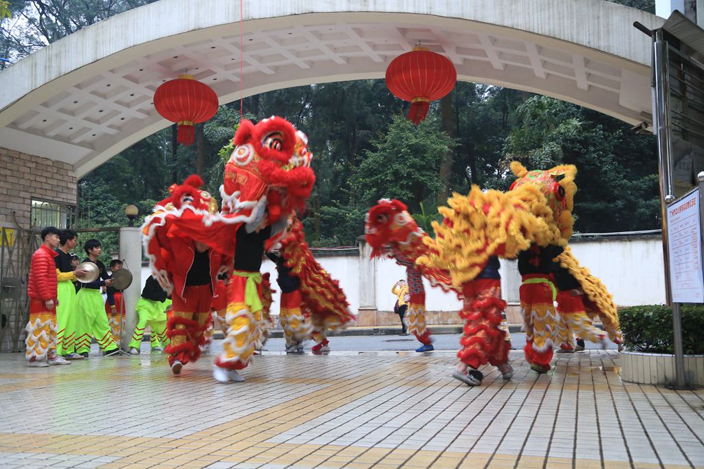 接狮