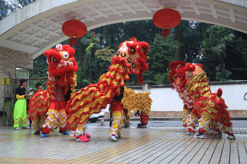 接狮