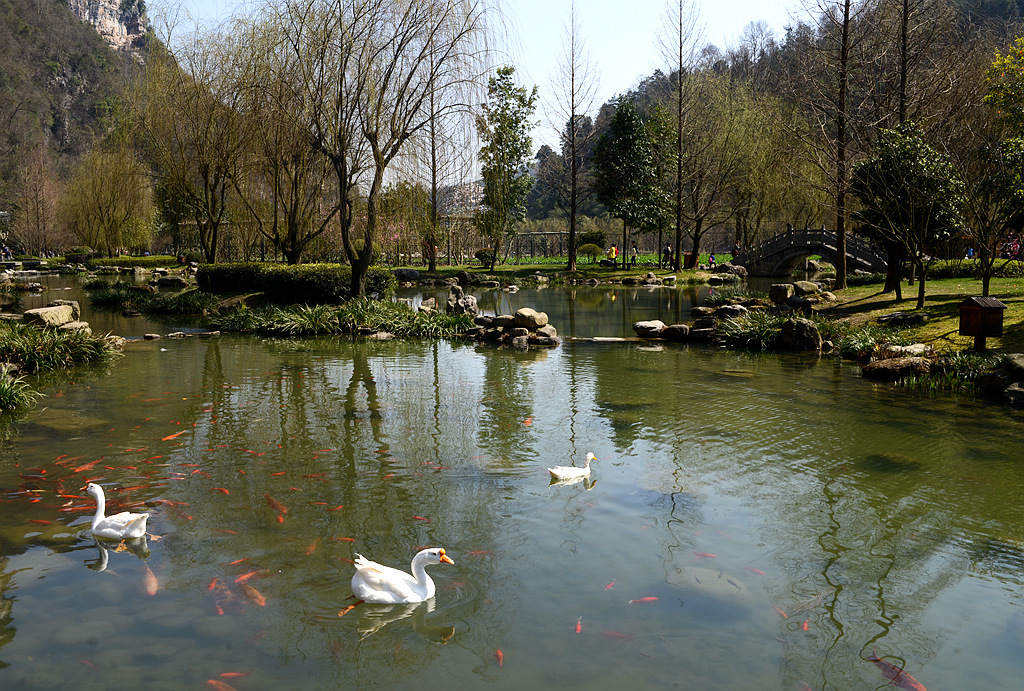 黄龙洞广场1