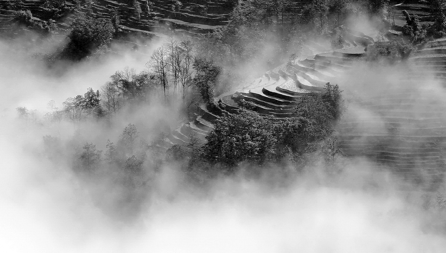 仙梯