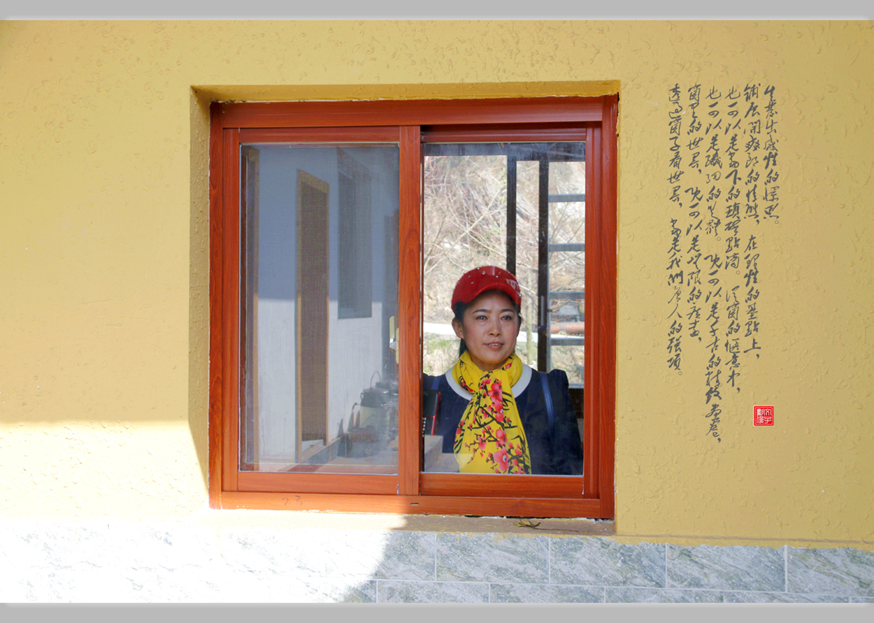 透过窗户看世界