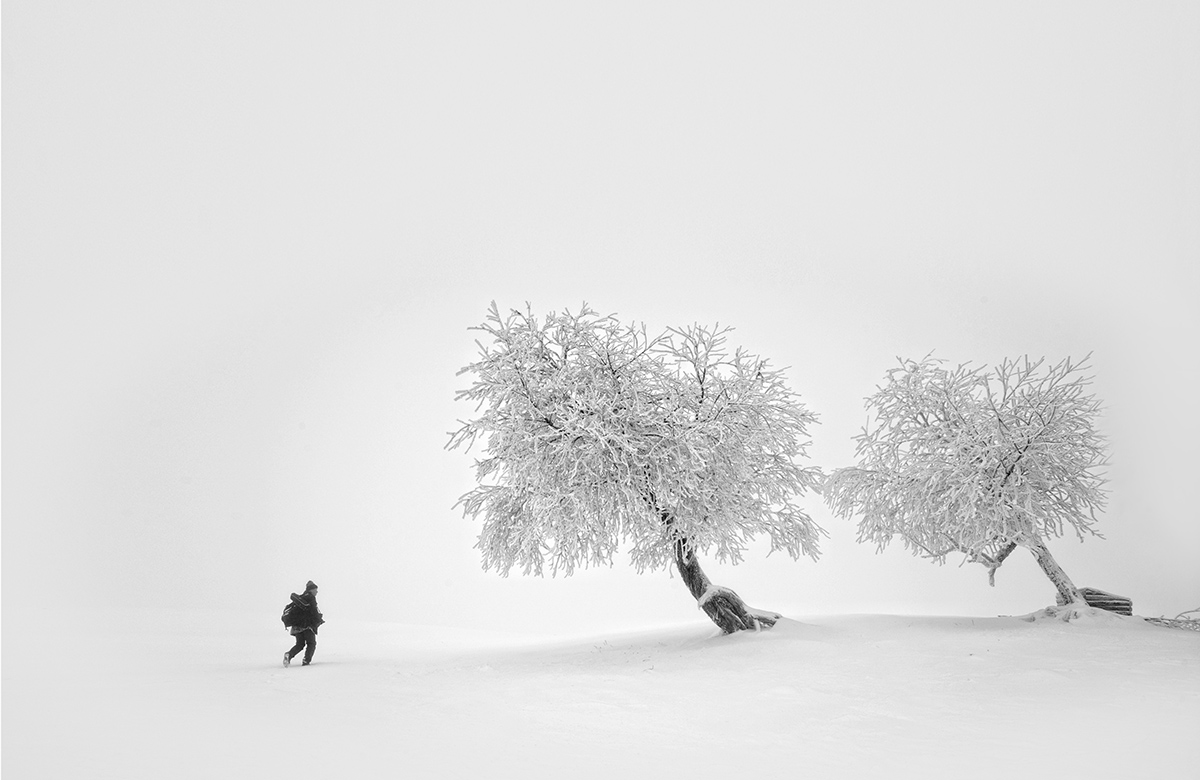 关东雪国老秃顶