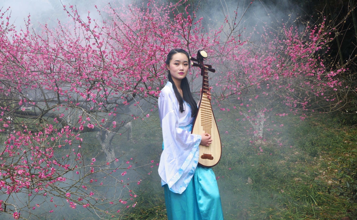诗琴画意